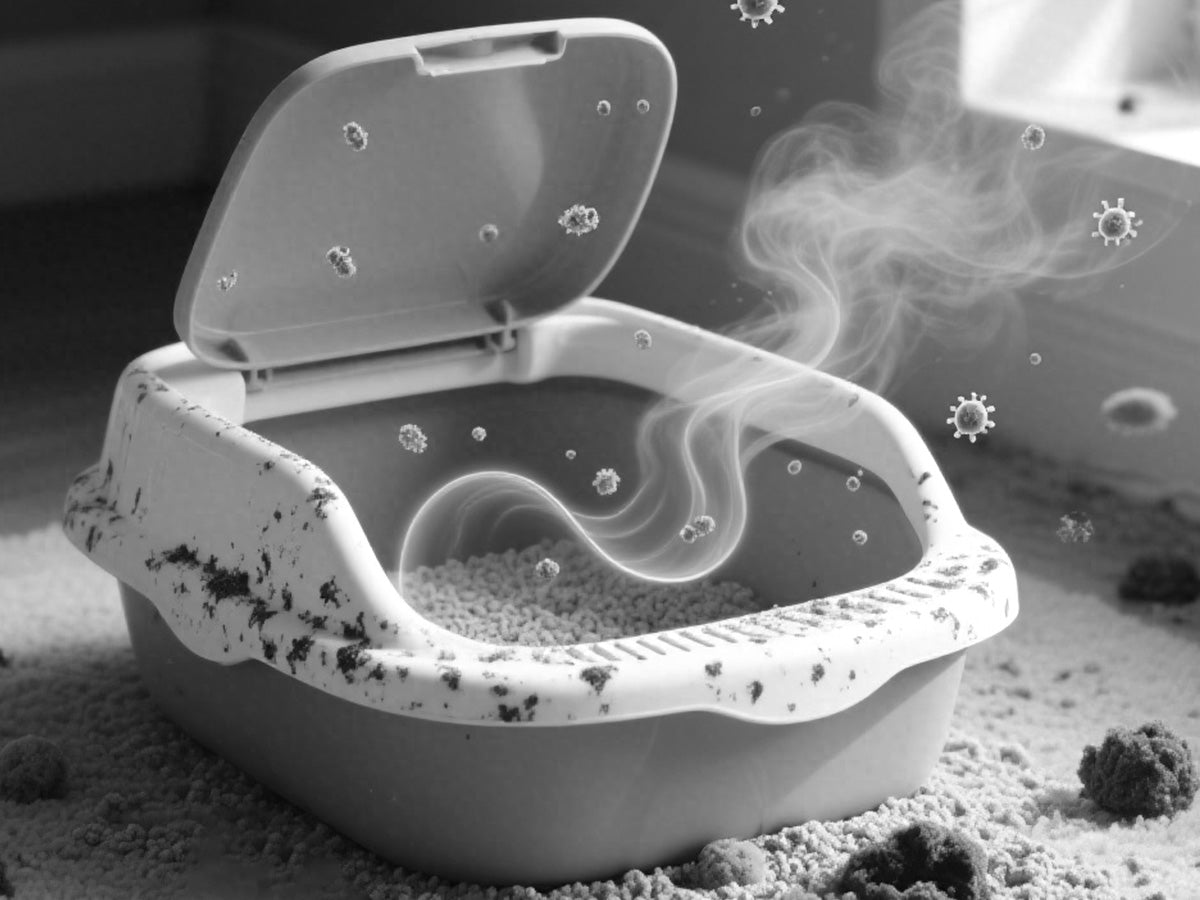 Bac à litière intelligent pour chat – Litière automatique autonettoyante électrique, toilette auto-nettoyante pour chats