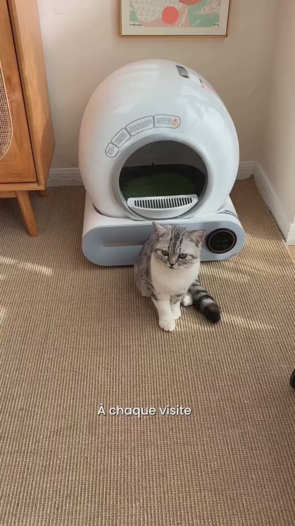 Charger la vidéo : 